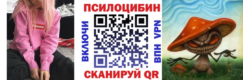 гидра онион  купить наркоту  Буй  Галлюциногенные грибы MAGIC MUSHROOMS 